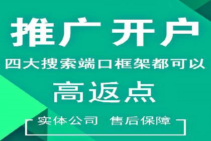 百度SEO推广案例：实战解析与效果展示